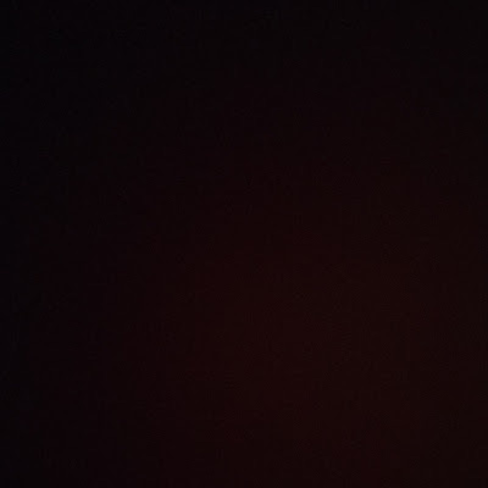 Meet your Posher, Katty